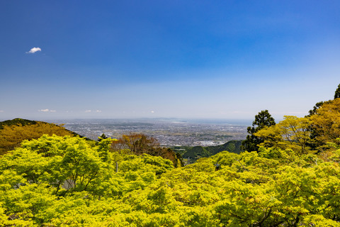 大山阿夫利神社 (1)