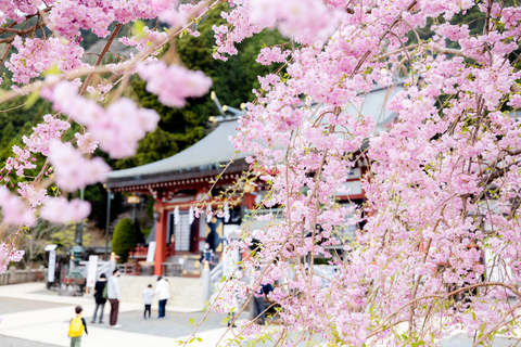 大山阿夫利神社 (2)