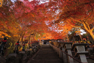 大山寺紅葉2