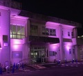 市役所分室