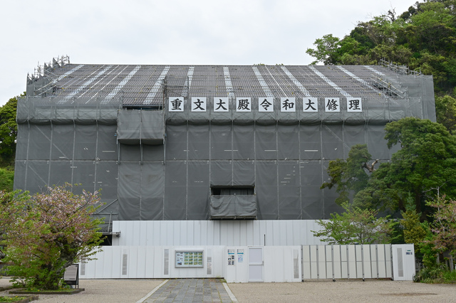DSC_4692(1)