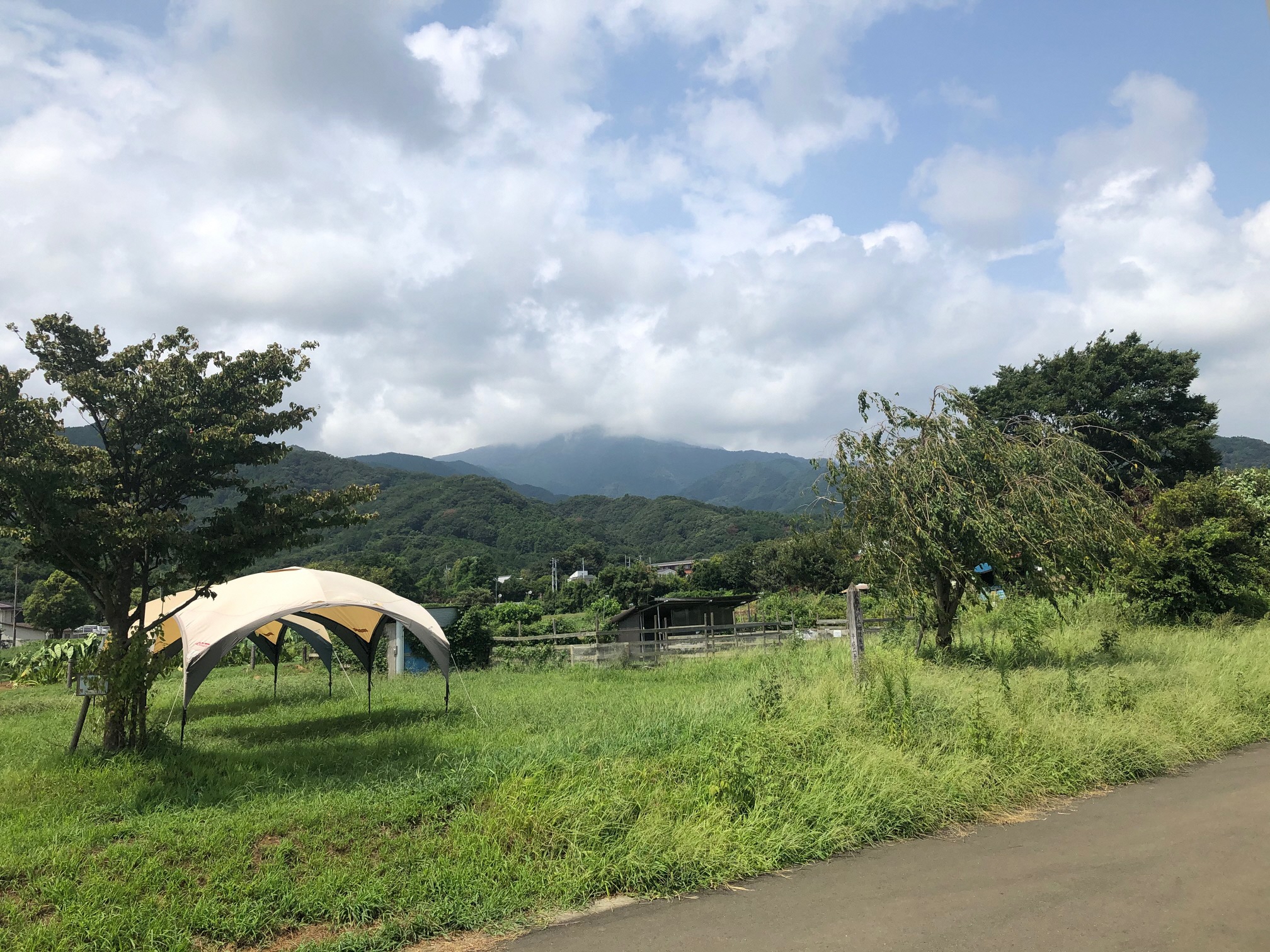 広場【機種依存文字】大山バック