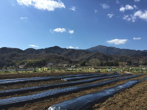 貸し農園【機種依存文字】大山バック