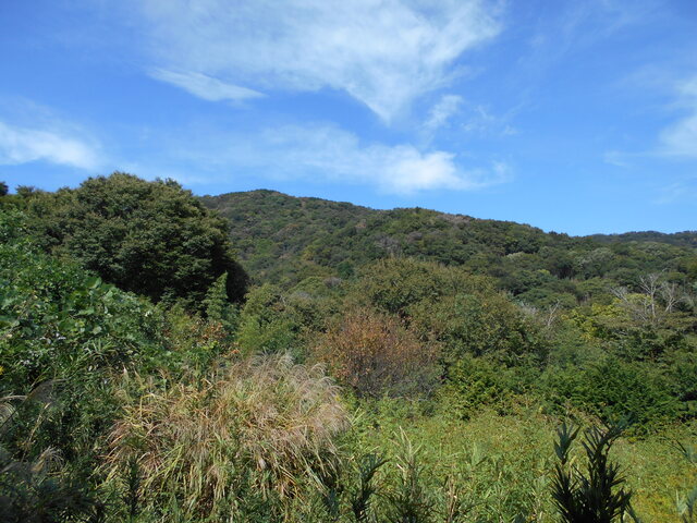 風景の画像