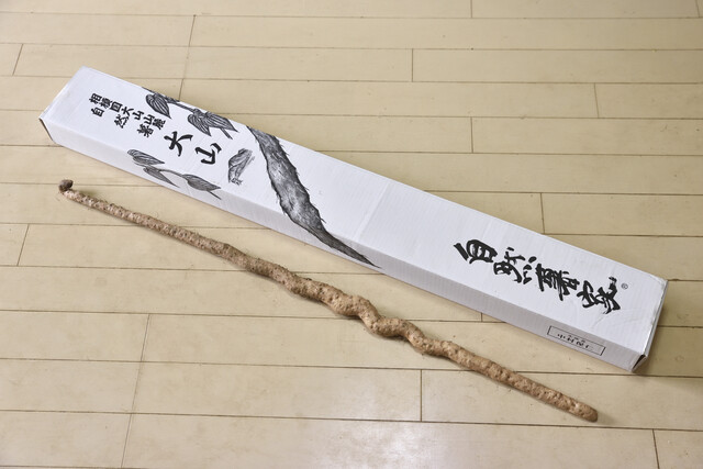 自然薯