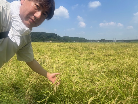 実際にコメの産地へ出向いて情報収集の画像