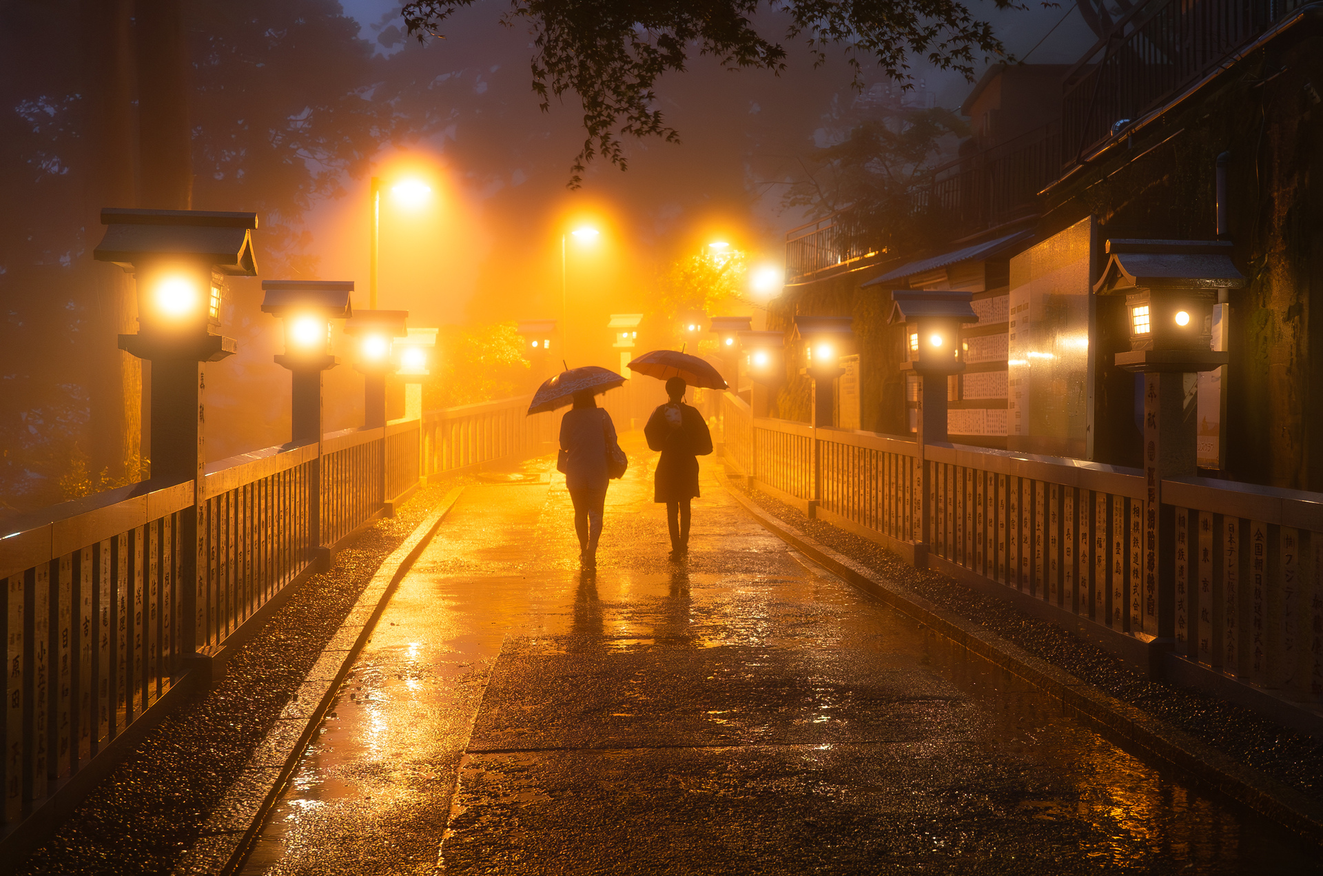 雨の参道