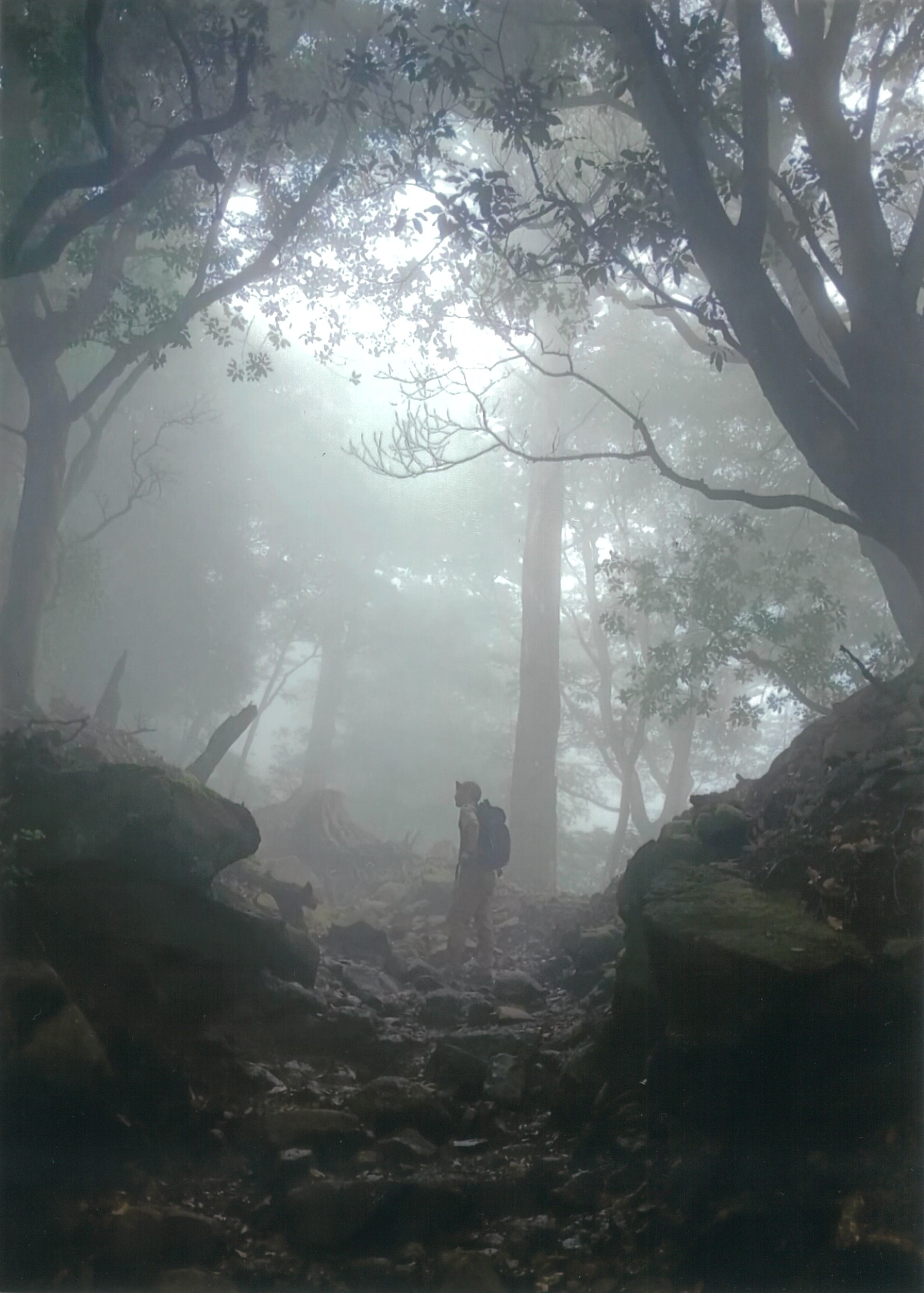 幻想的な大山