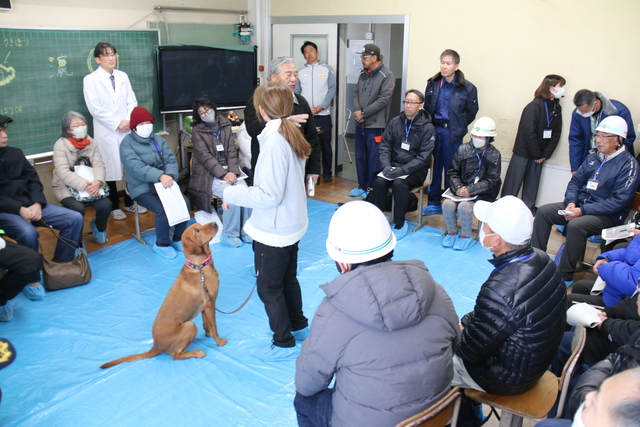 災害時のペット対策訓練の写真です