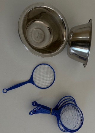 ポイセット ポイセット