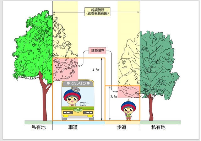 路上に張り出した樹木