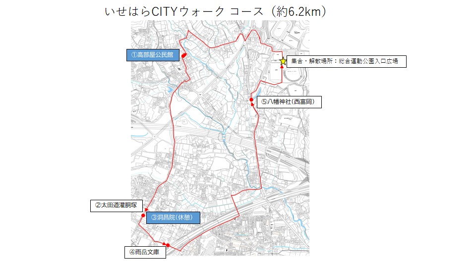 コース案