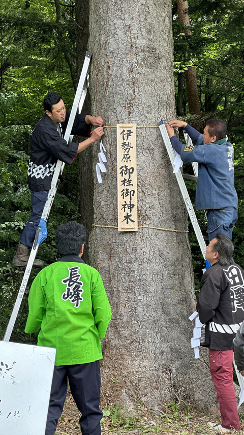 見立て