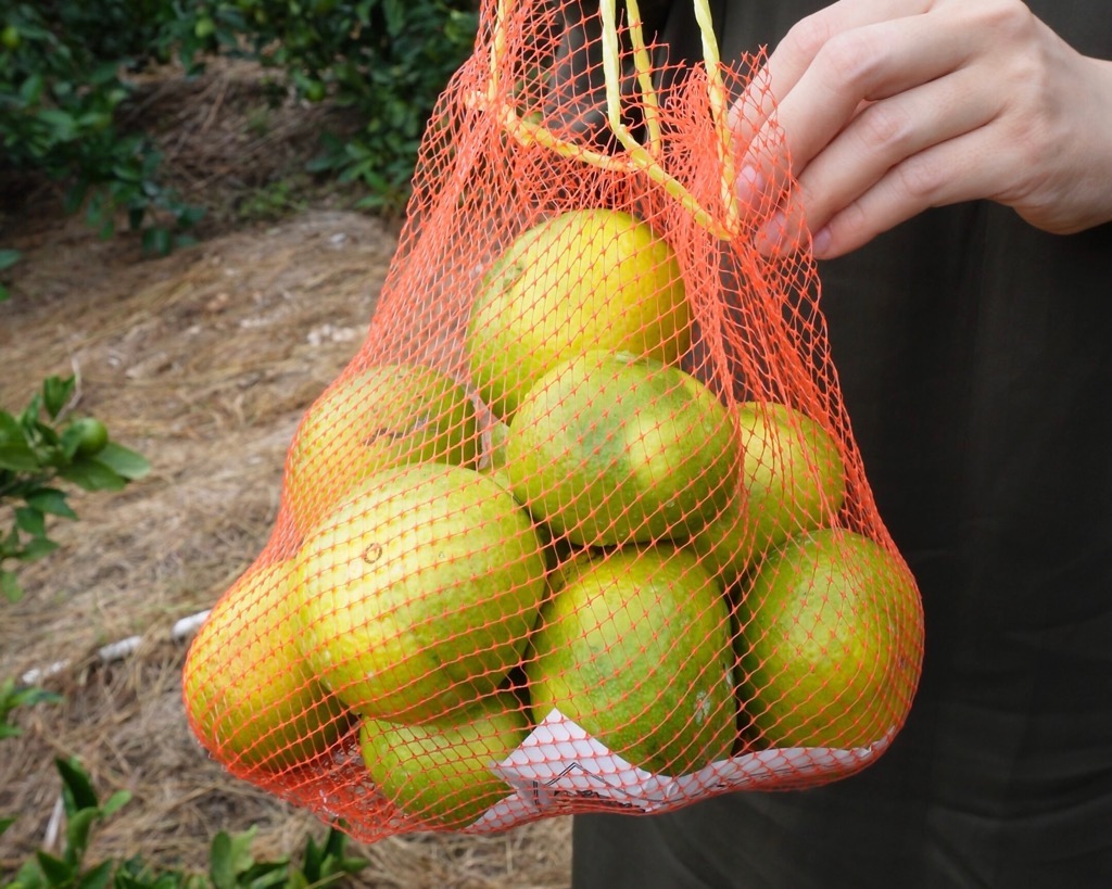 fruit1
