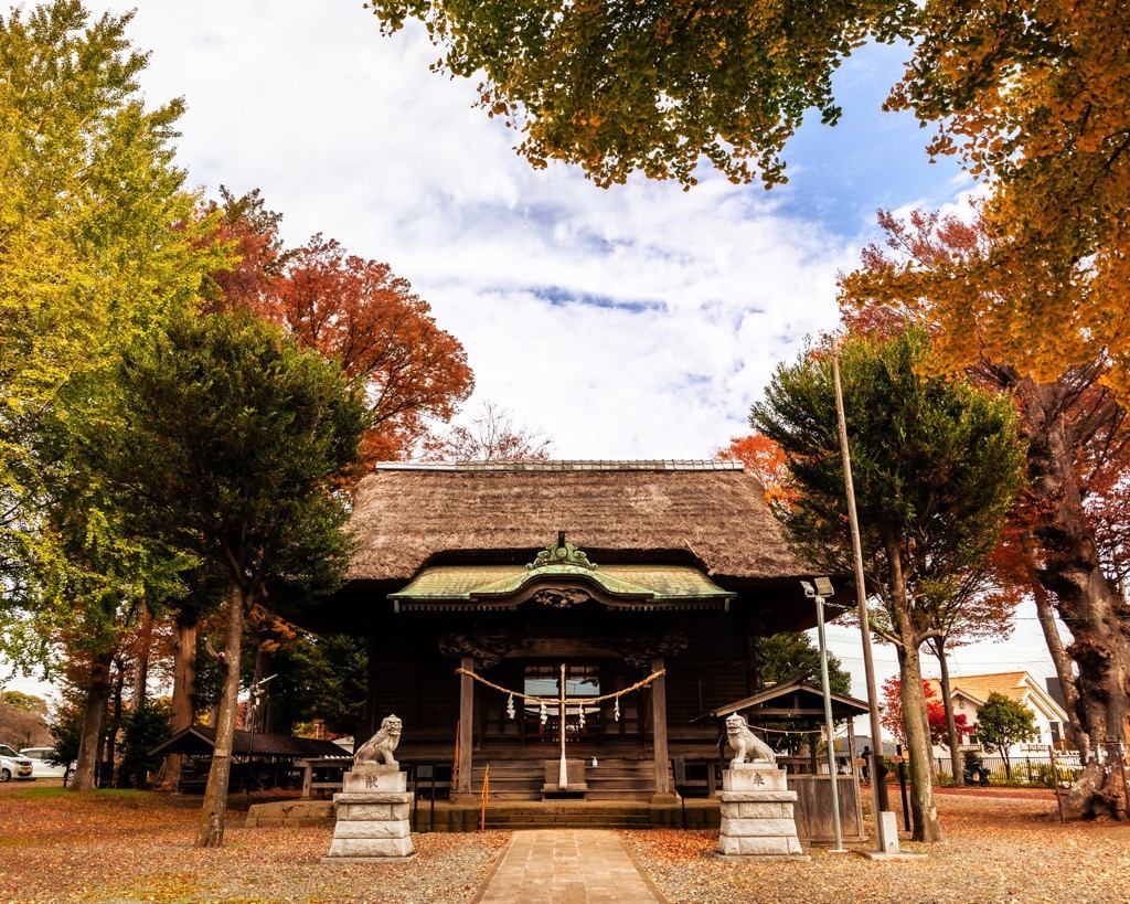 takabeya