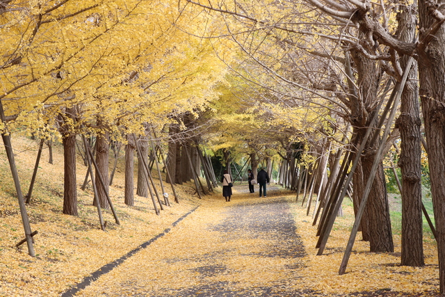 総合運動公園5 総合運動公園5