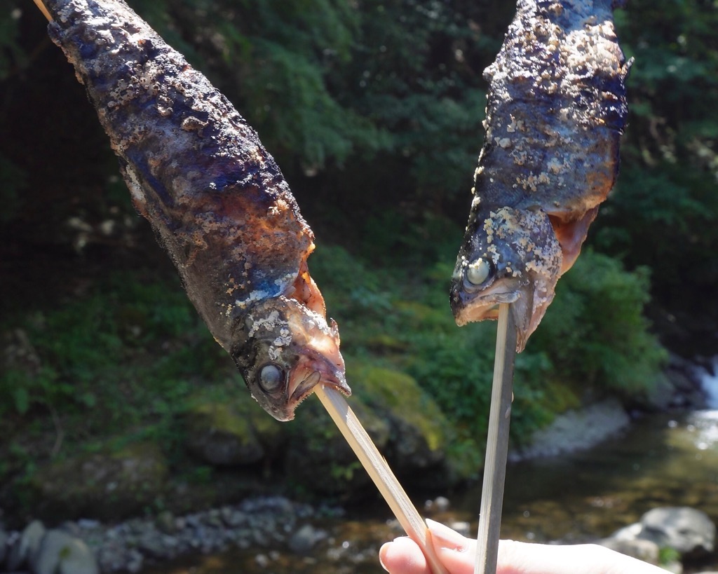 マス釣り2 マス釣り2