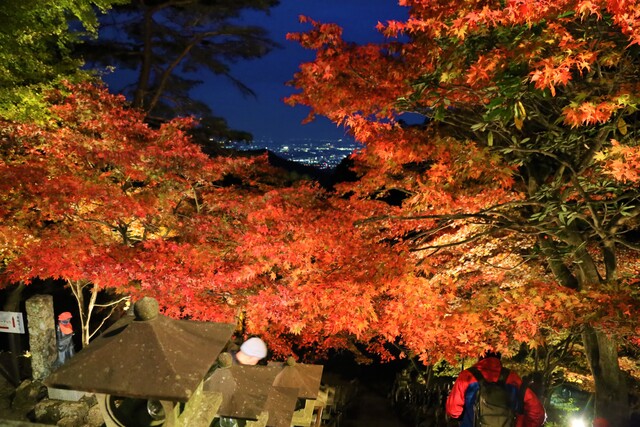 大山の紅葉2