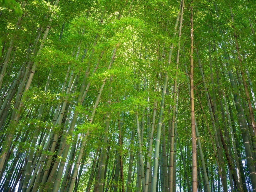 石雲寺