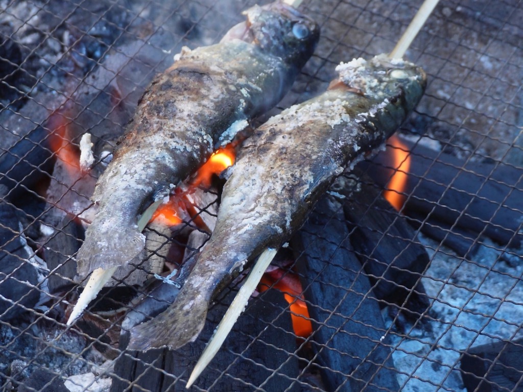 マス釣り マス釣り