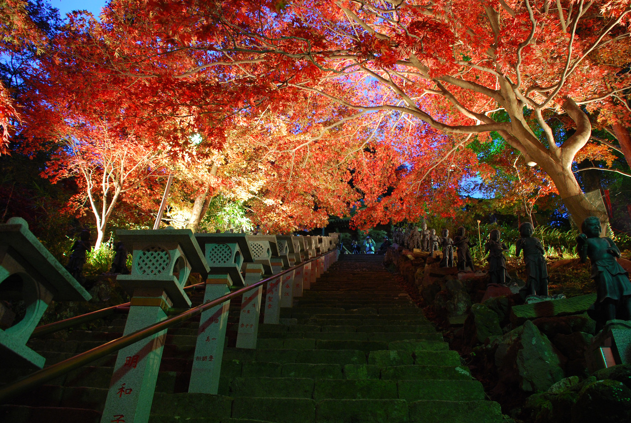 大山寺　夜