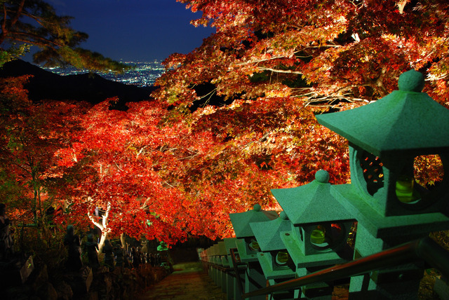 大山寺の紅葉ライトアップと夜景