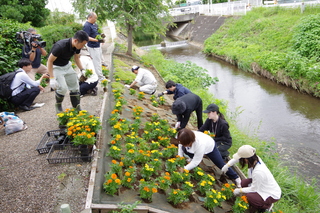 IMGP5736