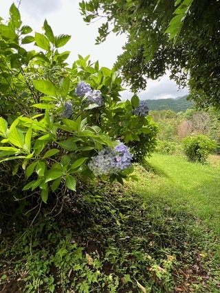 image5 (1)(2)