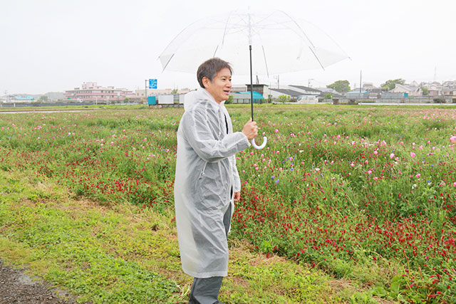 画像：レンゲ祭の様子