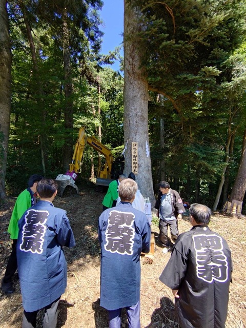御神木写真 御神木写真